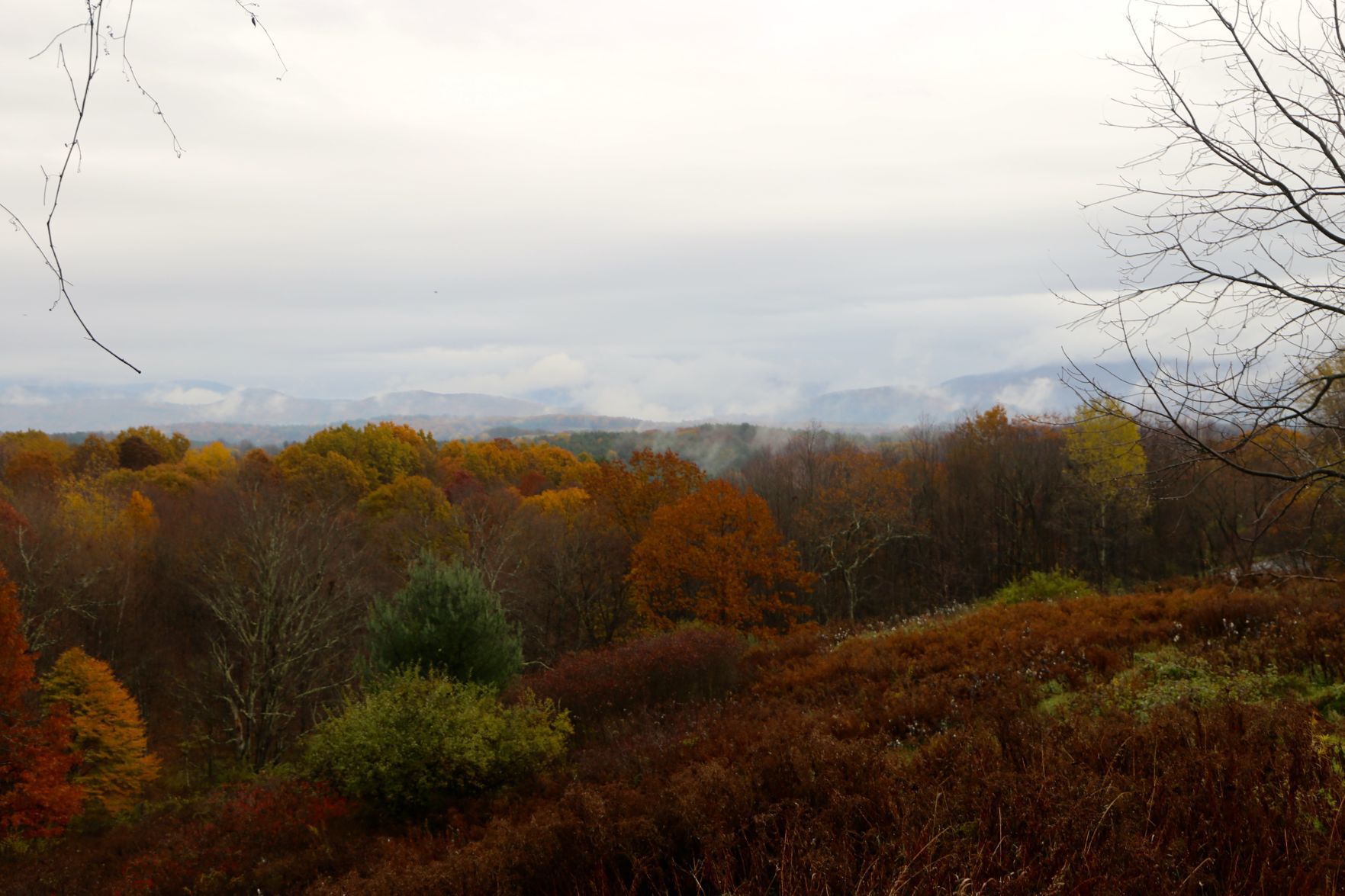 Dionondehowa Wildlife Sanctuary